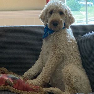 Meet your Posher, Timothy